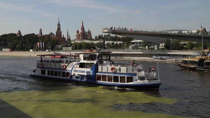 Фото: Анатолий Цымбалюк / Вечерняя Москва