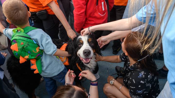 Второй цикл мероприятий «Друг, спасатель, защитник» завершится в эти выходные