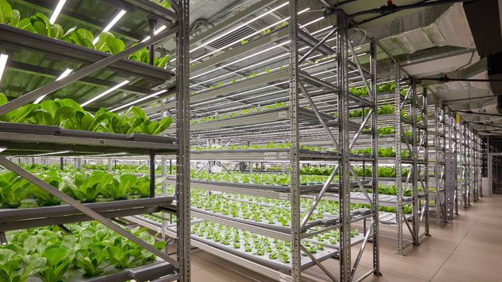 Сергунина рассказала о столичном сервисе по подбору помещений для бизнеса