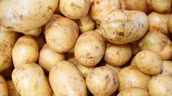 В США официально зарегистрировали картофелину в качестве глушителя для оружия