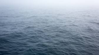 МИД Туркмении: Иранский сухогруз терпит бедствие в Каспийском море