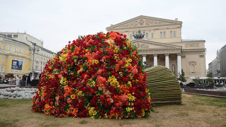 Фото: Пелагия Замятина / Вечерняя Москва