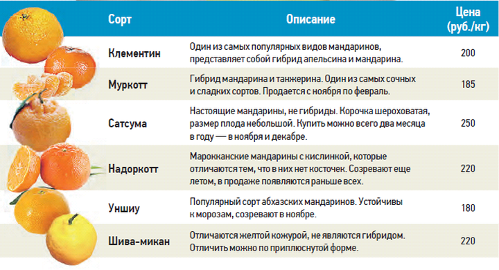 С полок пропадет любимый сорт: стоимость мандаринов в России скоро может вырасти