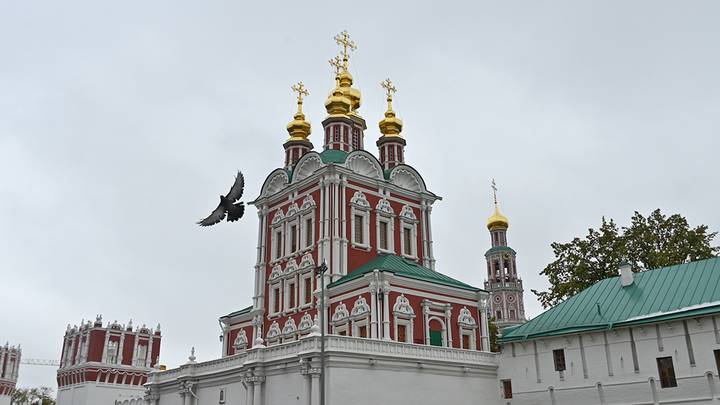 Фото: Александр Кочубей / Вечерняя Москва