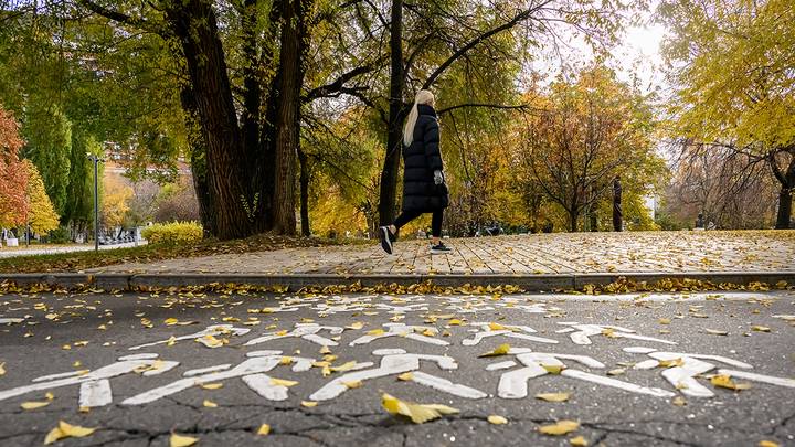 Фото: Дмитрий Дубинский / Вечерняя Москва