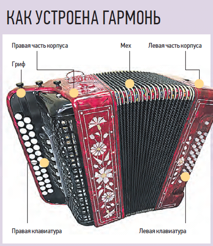 Переживает второе рождение: в России быстро растет популярность гармони