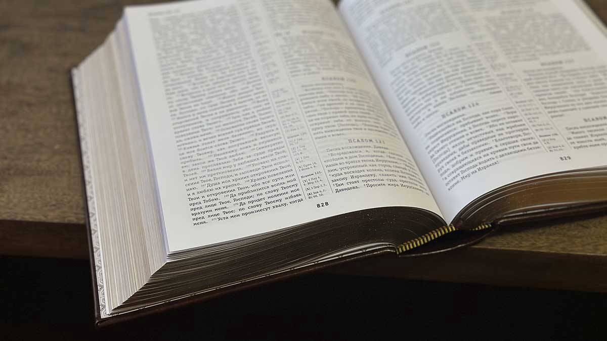 Книга самый надежный источник просвещения