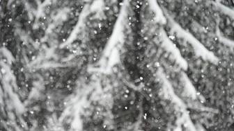 Четыре пастуха замерзли насмерть, спасая скот во время бурана под Волгоградом