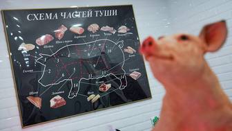 «Известия»: Цены на свинину в России упали из-за перенасыщения рынка