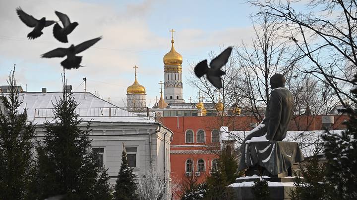 Фото: Александр Кочубей / Вечерняя Москва