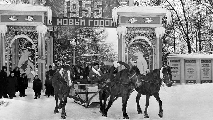 Парк «Сокольники», 1955 год / Фото: ТАСС