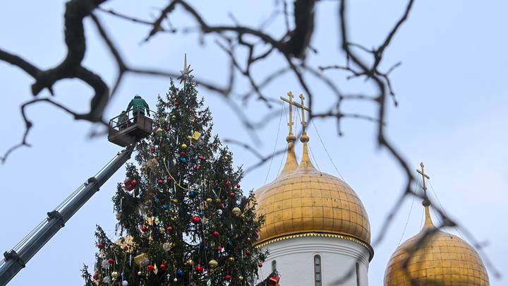 Презентация главной новогодней елки страны на Соборной площади Московского Кремля / Фото: АГН Москва