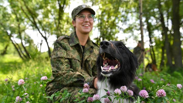 Показательные выступления кинологов и собак Федеральной таможенной службы на площадке «Питомцы в Москве» / Фото: АГН Москва