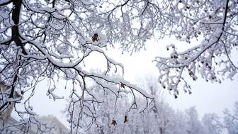 Синоптик Леус рассказал, когда в Москве сформируется снежный покров