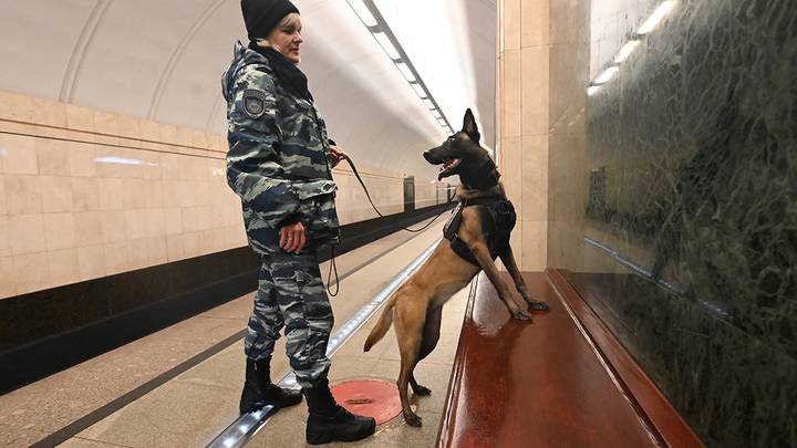 Дежурство кинологов в метро / Фото: Мария Хапцова / Вечерняя Москва