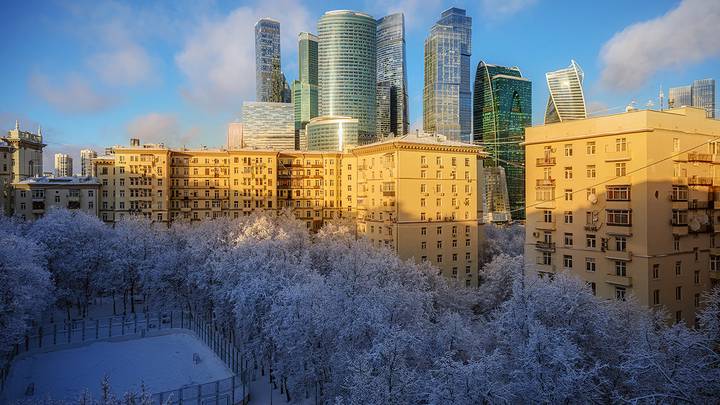 Фото: Дмитрий Дубинский / Вечерняя Москва