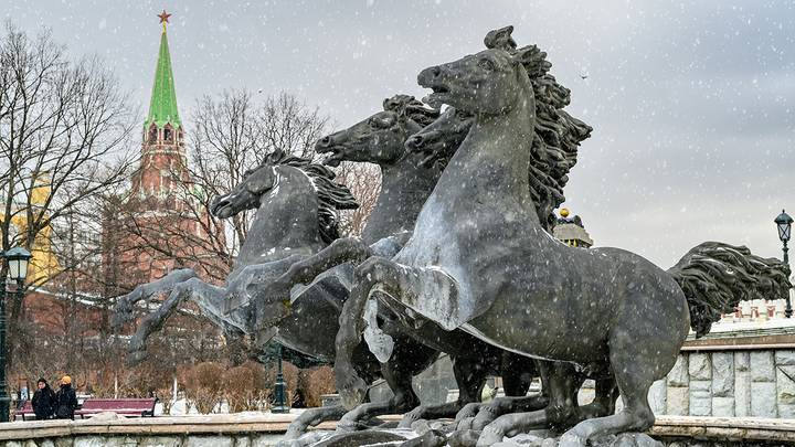 Фото: Дмитрий Дубинский / Вечерняя Москва