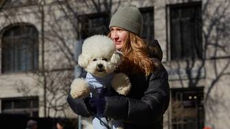 Как прогулка влияет на психику и здоровье