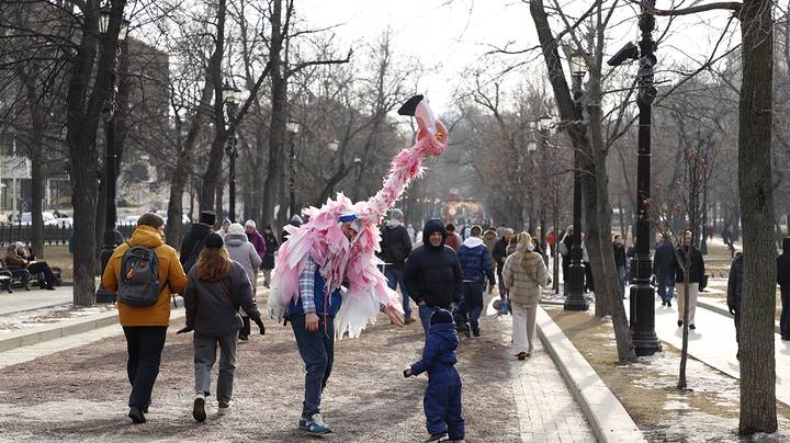 Фото: Андрей Прошин / Вечерняя Москва