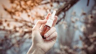 Когда начнется сезон аллергии в России в 2026 году