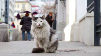 Погода в Москве с 6 по 12 апреля