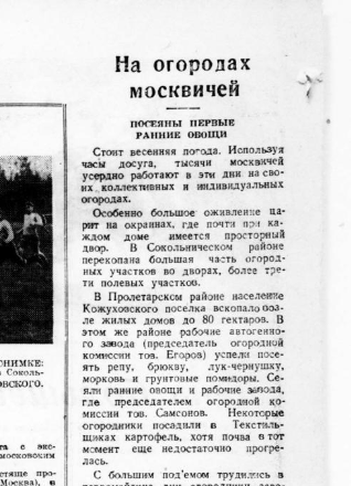 На огородах москвичей / 5 мая 1945 г.