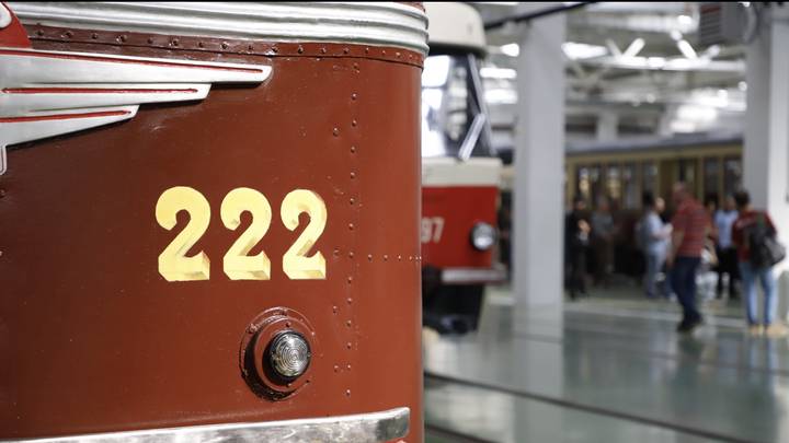 Фото: Андрей Прошин / Вечерняя Москва