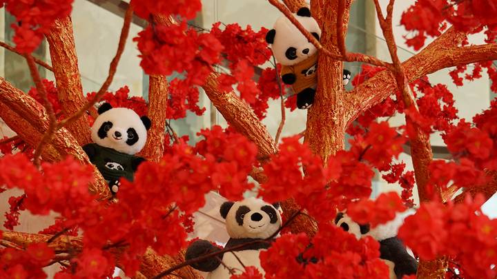 Фото: Анатолий Цымбалюк / Вечерняя Москва