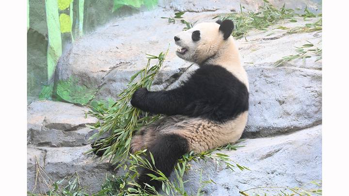 Фото: Мария Хапцова / Вечерняя Москва