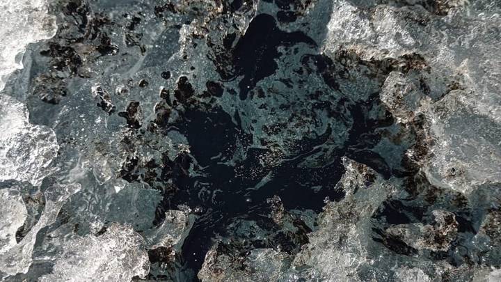 Ученые показали природные выбросы нефти на Байкале