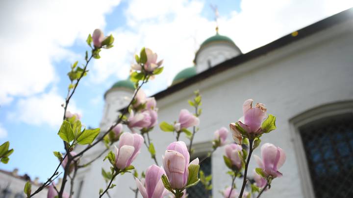 Пятидесятница — день рождения Церкви