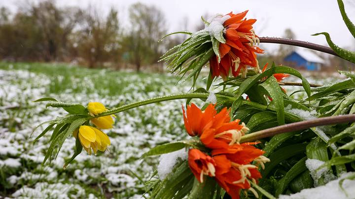 Апрель будет теплее, чем обычно