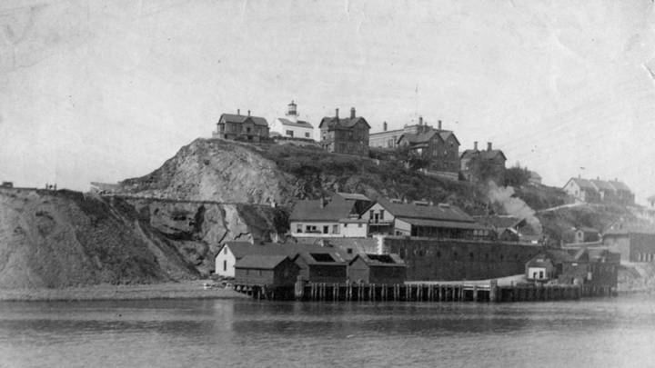 1895 год