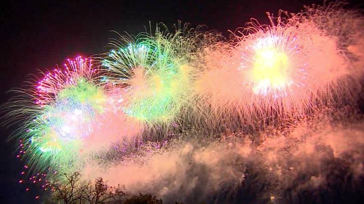 Фото: Вечерняя Москва Фото: Вечерняя Москва