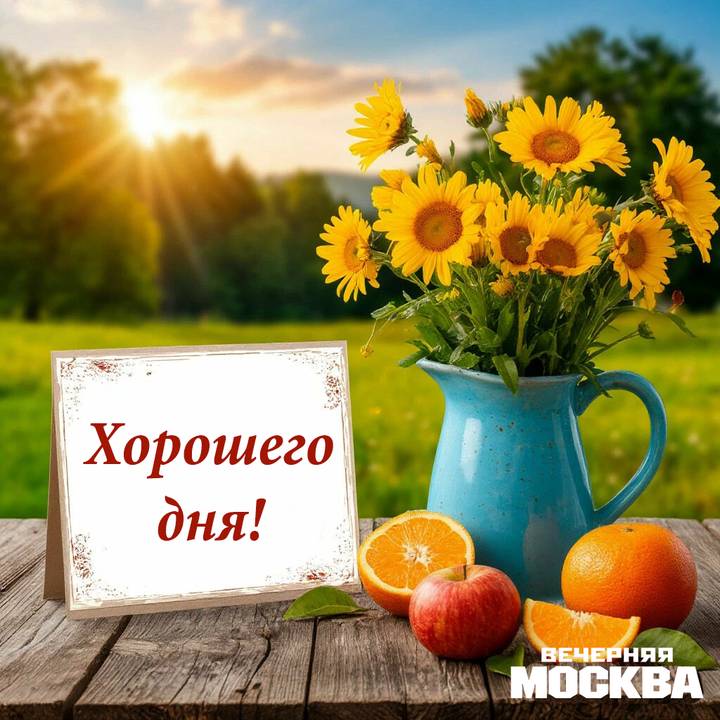 20 красивых открыток с добрым утром: скачать