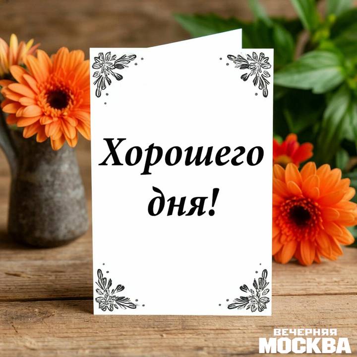 20 красивых открыток с добрым утром: скачать