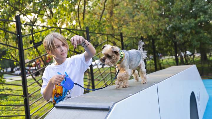 «Хвостатые старты» организуют в рамках проекта «Лето в Москве»