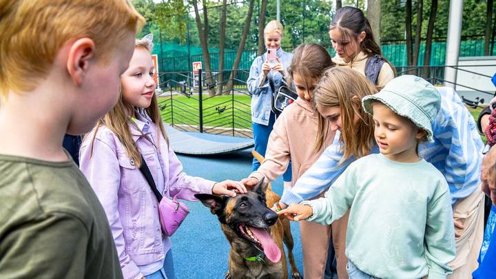 «Хвостатые старты» организуют в рамках проекта «Лето в Москве»