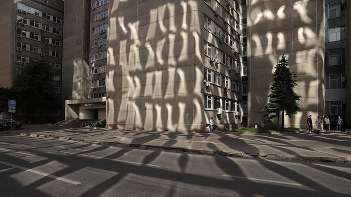Фото: Анатолий Цымбалюк / Вечерняя Москва