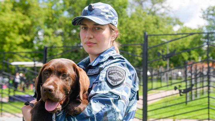 Горожане увидят выступления служебных собак в рамках проекта «Питомцы в Москве»