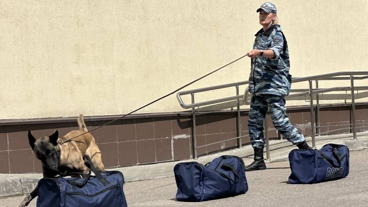 Фото: Вечерняя Москва