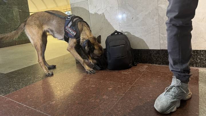 Полиция в московском метро: как охраняют подземку — видеонаблюдение, поиск оружия и ловля преступников