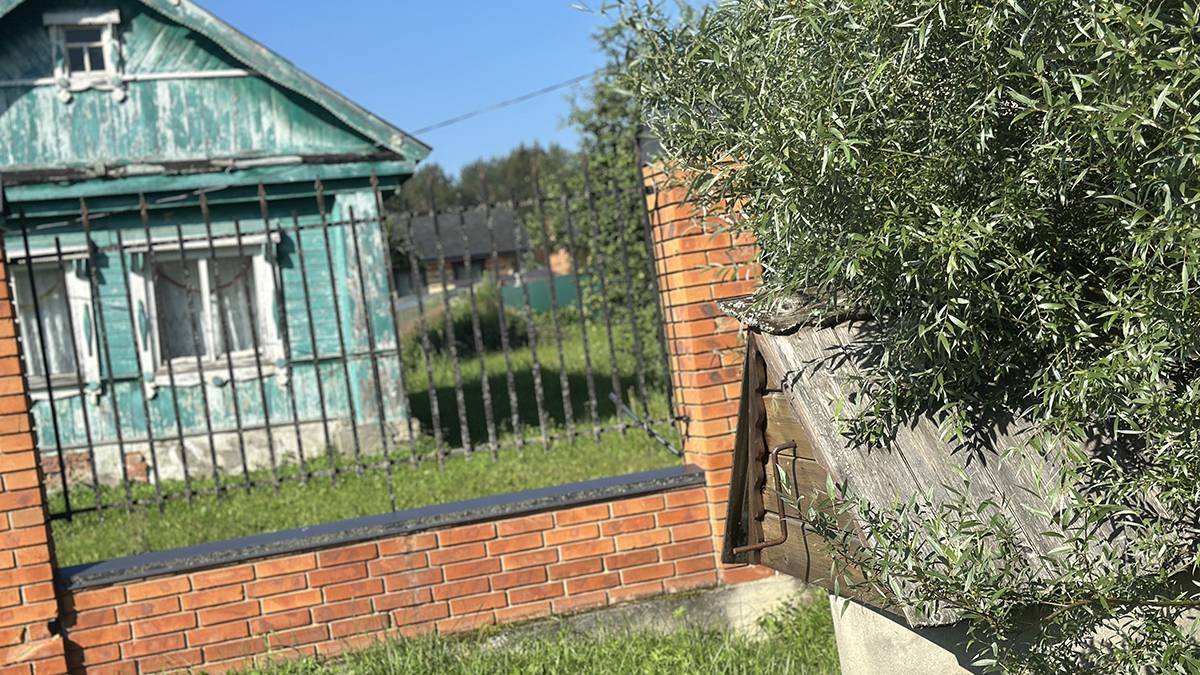 Эксперт Гоголева рассказала, как правильно обрезать деревья и кустарники осенью