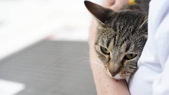 Какие необычные клички носят животные «Моспитомца»