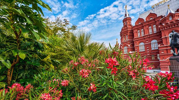 Манежная площадь: водопад и тропики / Фото: mos.ru / Официальный сайт мэра Москвы