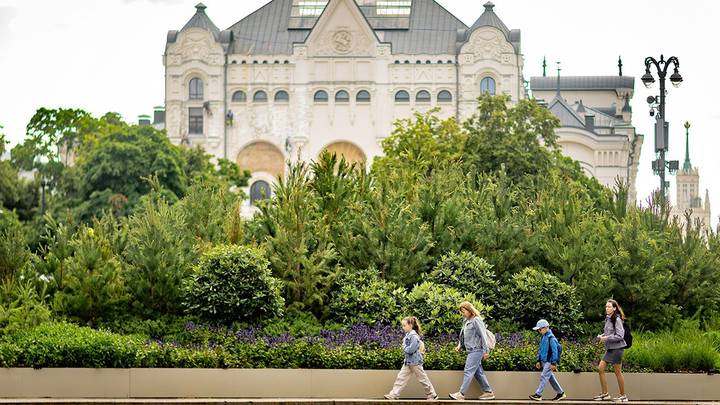 Лесной оазис на Лубянской площади / Фото: Пресс-служба Департамента торговли и услуг города Москвы Лесной оазис на Лубянской площади / Фото: Пресс-служба Департамента торговли и услуг города Москвы
