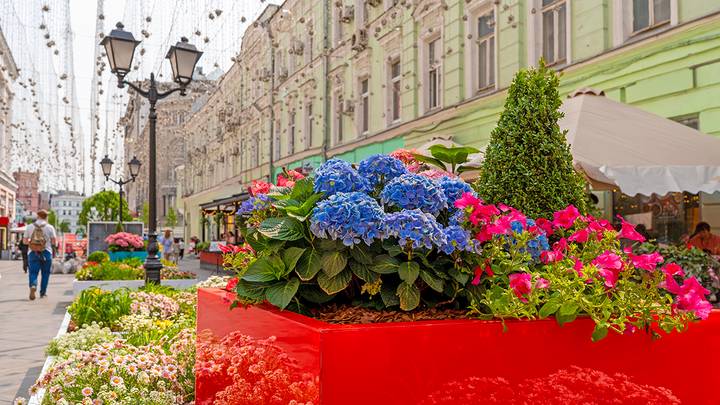 Кузнецкий мост / Фото: mos.ru / Официальный сайт мэра Москвы Кузнецкий мост / Фото: mos.ru / Официальный сайт мэра Москвы