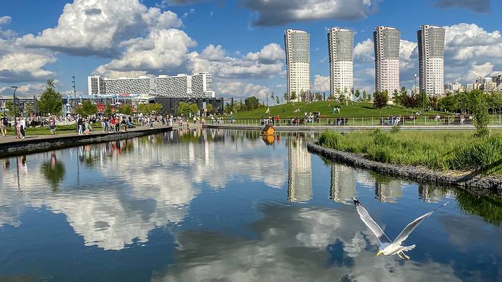 Фото: Дмитрий Дубинский / Вечерняя Москва