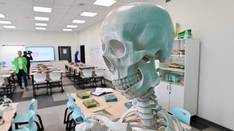 Почему обществознание решили исключить из школьной программы