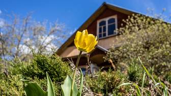 Как беспилотники будут контролировать дачников? Предложение Росреестра, штрафы